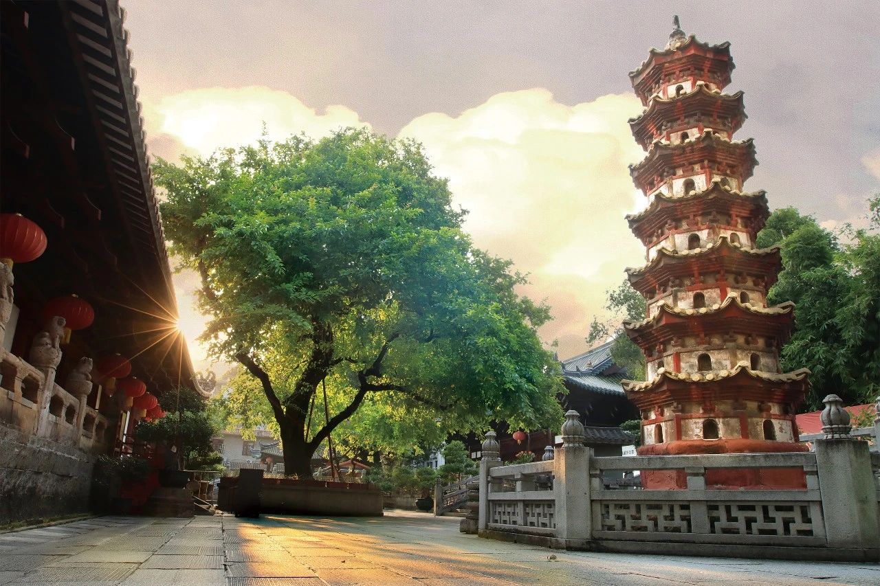 文化和自然遗产日 | 广州光孝寺：海丝佛教文化的“活化石”