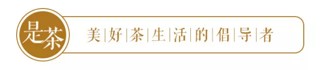 忙碌中需要留白，一家都市清净茶馆约你喝茶养静气！