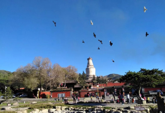 重庆华岩寺“华岩佛子行，朝圣五台山”清凉山朝圣之行圆满
