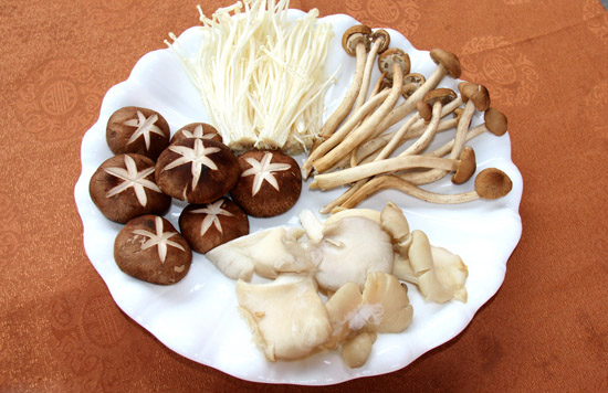 素食丨蘑菇大家族 营养各不同