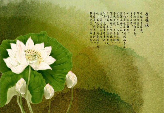 禅解《爱莲说》： 莲花是因也是果
