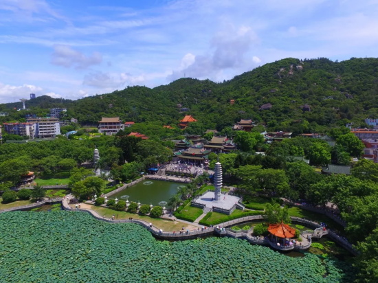 禅门公案 | 惟宽禅师：如何是道？