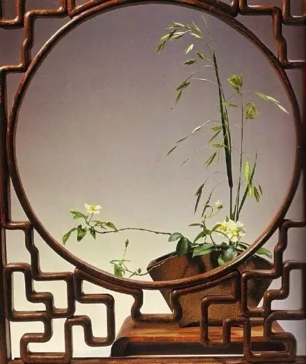 花道：以花为引 闲静无昧禅意生活