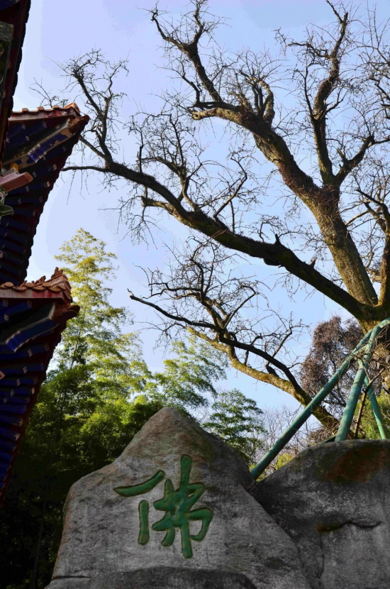 1535524836307591.jpg