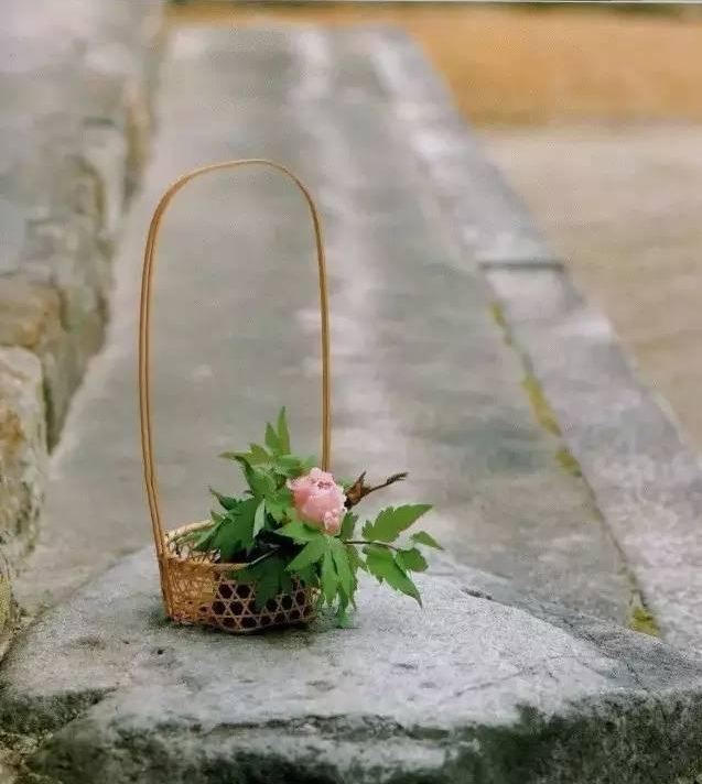 日本花道的极致美学：花道在柔，以刚为饰