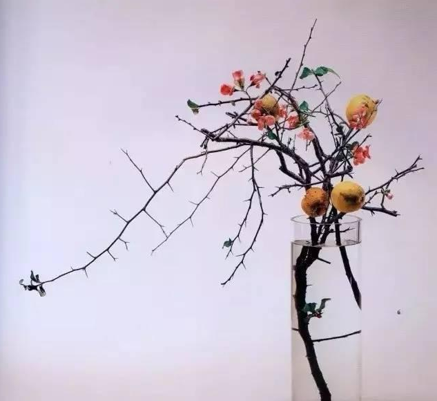 日本花道的极致美学：花道在柔，以刚为饰