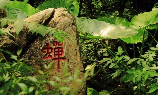 圣严法师：一定要看破红尘之后才能学佛吗？