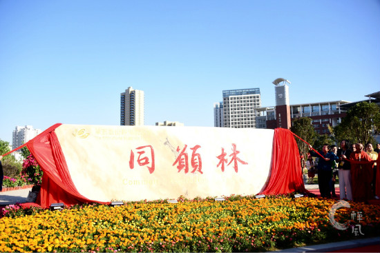 第五届世界佛教论坛现场：中外高僧大德齐聚莆田共植“同愿林”
