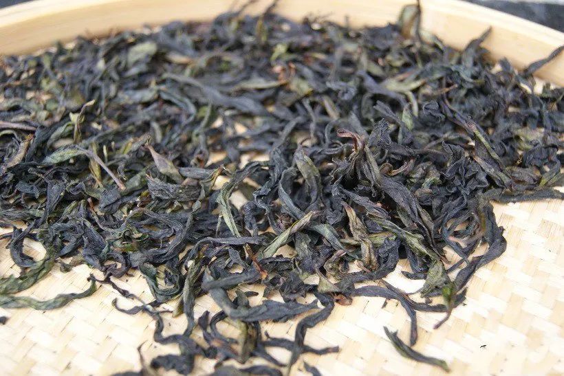 评茶攻略丨好看的皮囊VS有趣的灵魂 一文教你如何评头论足