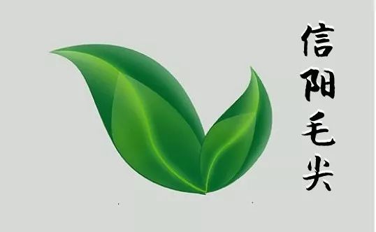 信阳毛尖丨它的名头大了！地域名片、陆羽苏轼带盐，与茅台同获金奖