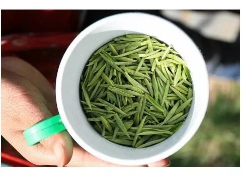 信阳毛尖丨它的名头大了！地域名片、陆羽苏轼带盐，与茅台同获金奖
