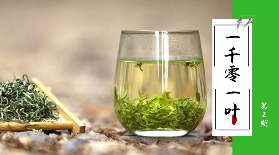 洞庭碧螺春丨被康熙爷钦点的爱茶 Double鲜爽的香煞百里