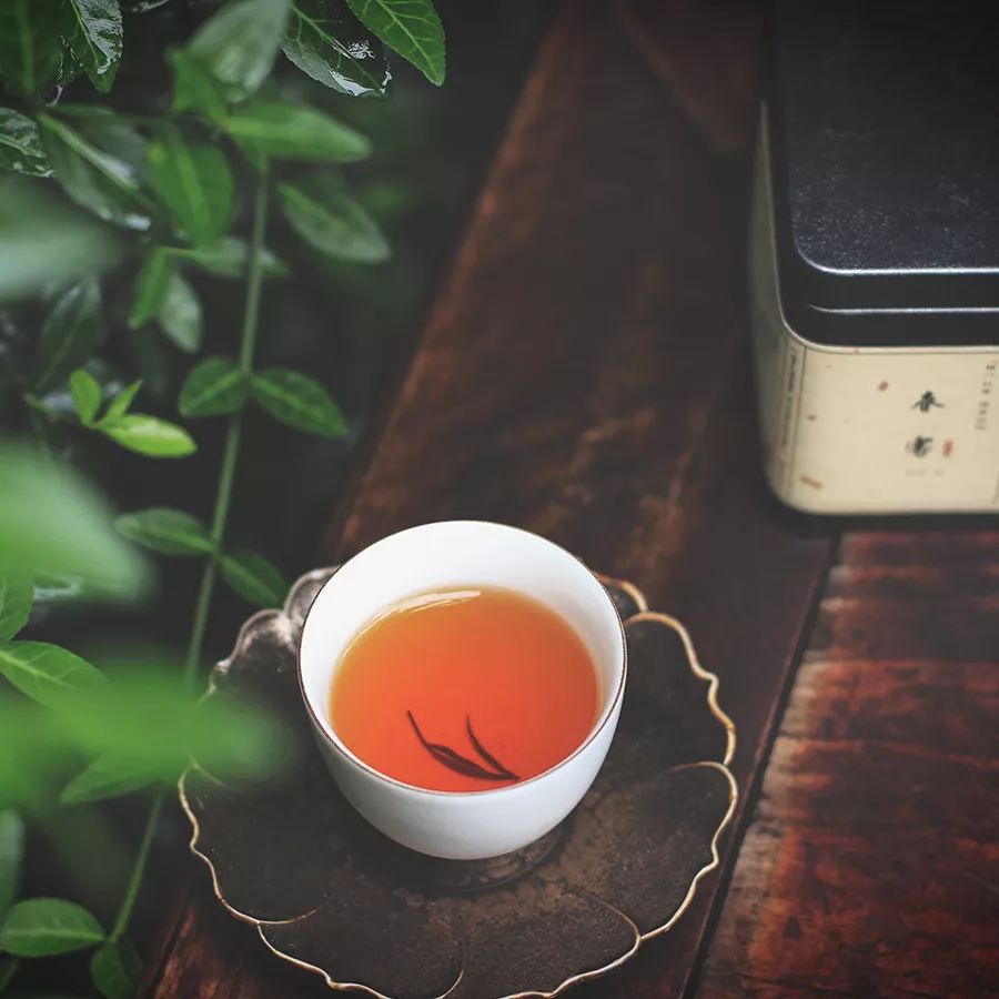 养生丨如何留住胶原蛋白？喝茶一事让你延长身体保质期