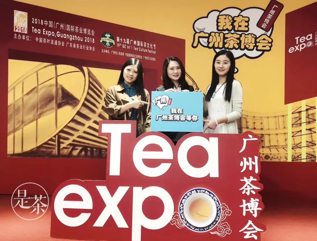 亮点抢先知！2018第十九届广州茶博会将于11月22-26日召开