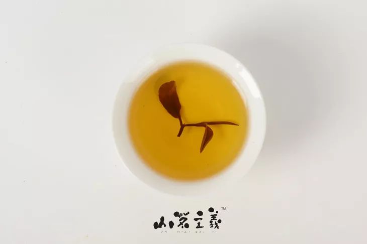 东方美人丨被虫子“咬坏”的茶，摇身一变茶界的“白富美”