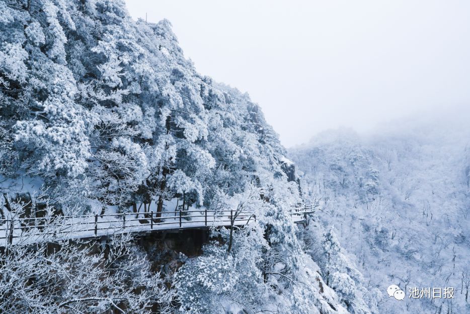 来看美景 | 一场雪，九华山成了水墨画，童话一般……