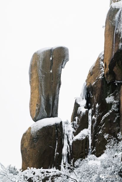 来看美景 | 一场雪，九华山成了水墨画，童话一般……