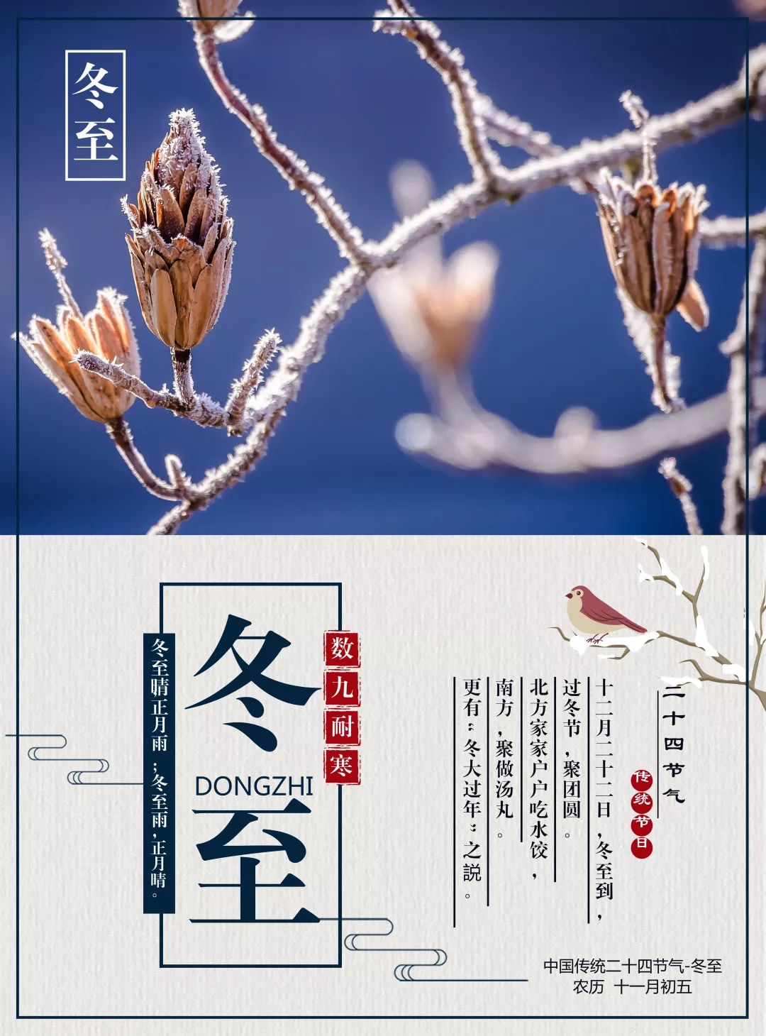 节气·冬至 | 岁寒至，闲煮一壶老白茶暖手又贴心！