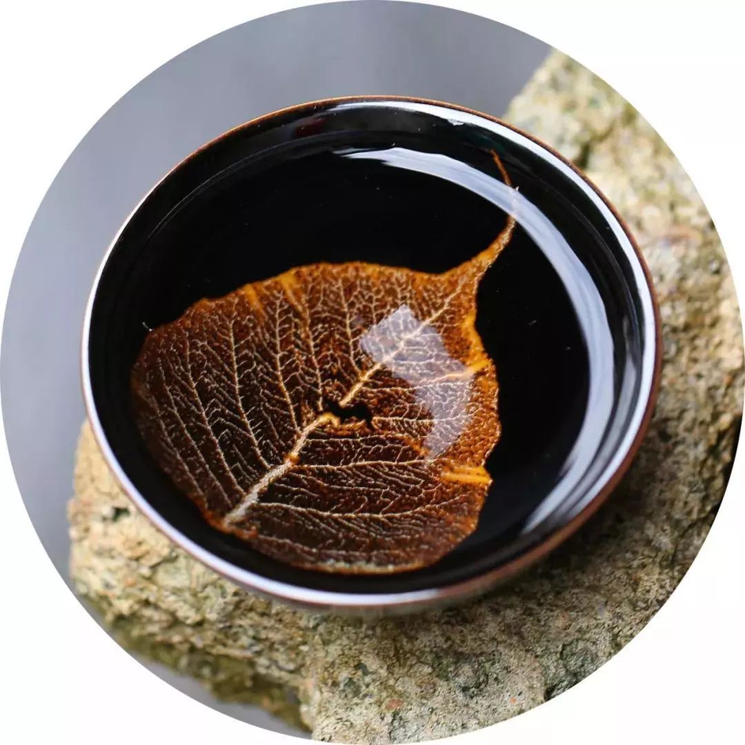 木叶天目丨一片树叶的传奇：1200℃没有灰飞烟灭，还浴火重生了！