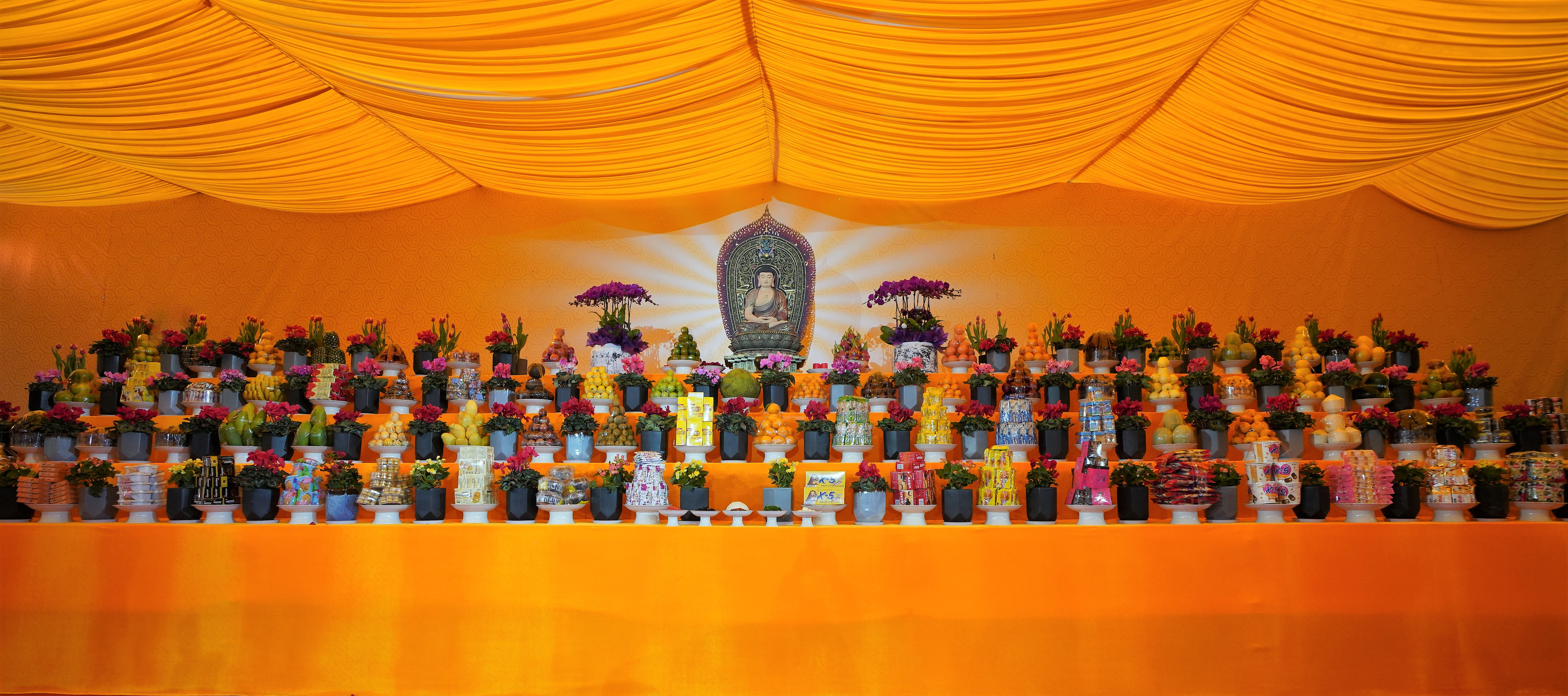DSC07386a