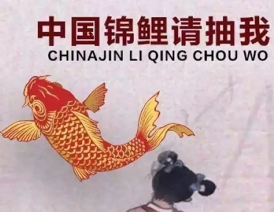 当代年轻佛弟子图鉴：拥抱“锦鲤”狂潮青年人中的一股清流