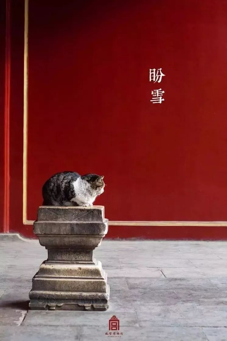 霁红丨千窑一宝：中国人的好彩头，最美不过中国红！