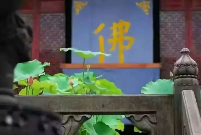 武昌佛学院尼众部开始招生啦！同时招录预科、本科女众