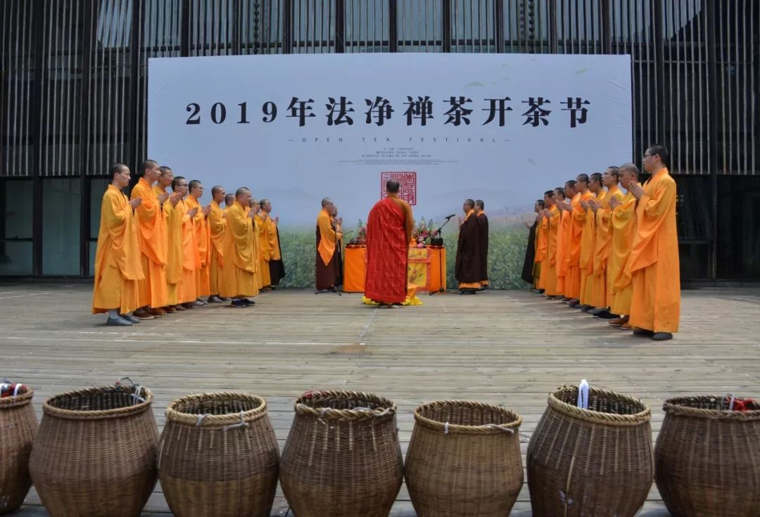 2019杭州法净禅茶开采 法师现场出坡采茶制茶