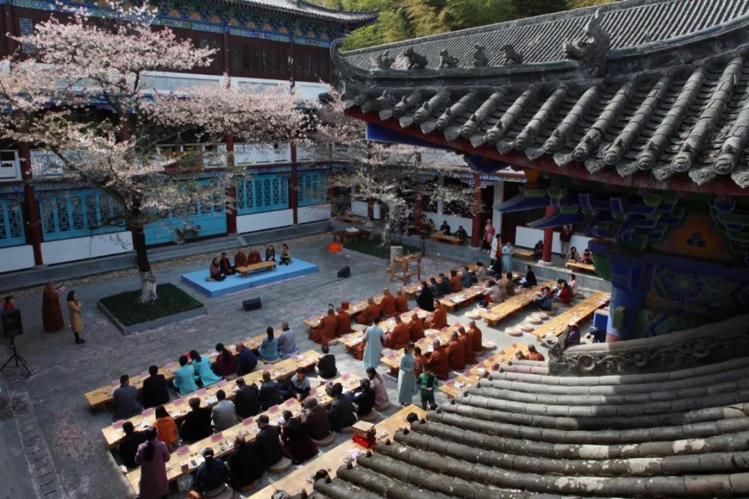 湖北五祖寺举办樱花诗会 制《谁遣春风》诗集