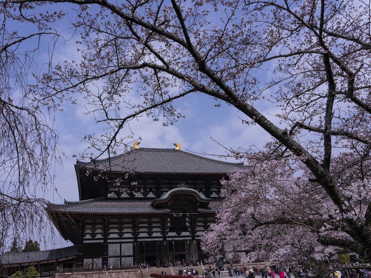 _DSC3601_副本
