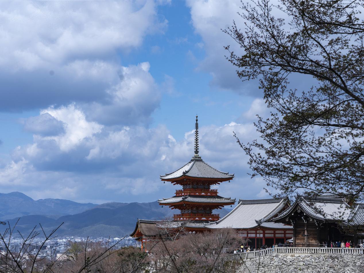 _DSC3742_副本