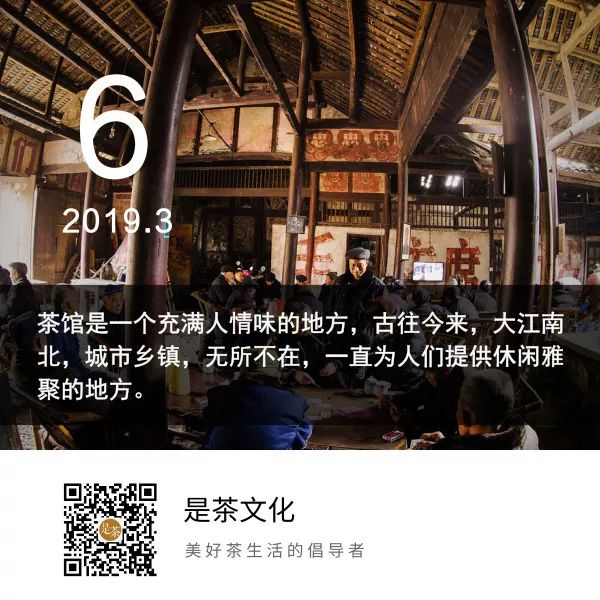长见识！东南西北茶馆大比拼，你被撩到了吗？