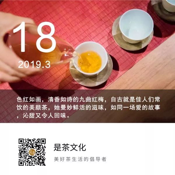 九曲红梅丨这款茶蕴藏春意，携着民国烟雨款款而来