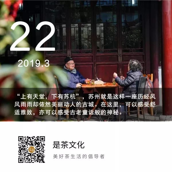 《都挺好》火了！你看的是一家子的互撕大战 我只关注里面的茶馆