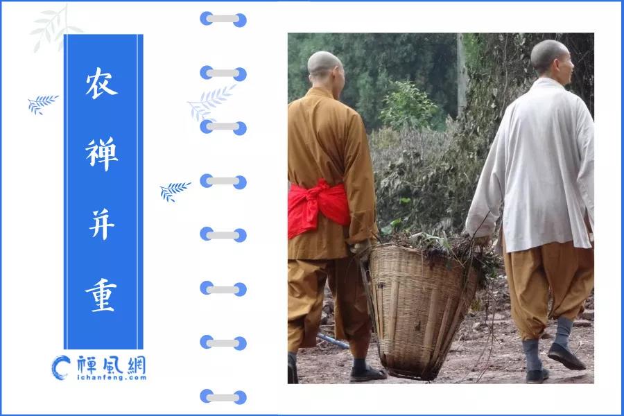劳动节不放假！一日不作一日不食的佛门农禅传统一起来了解一下
