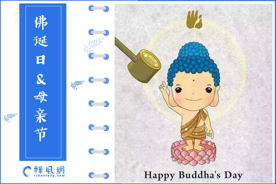 难得一遇！母亲节&佛诞日双节快乐 来了解佛陀与母亲的感人故事