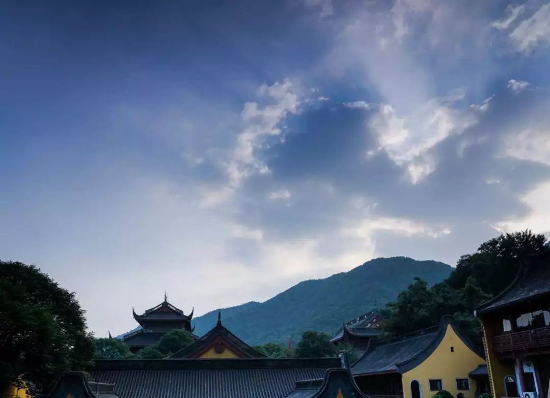 2019中国茶禅学会“茶与禅学术研讨会”在杭州灵隐寺举行