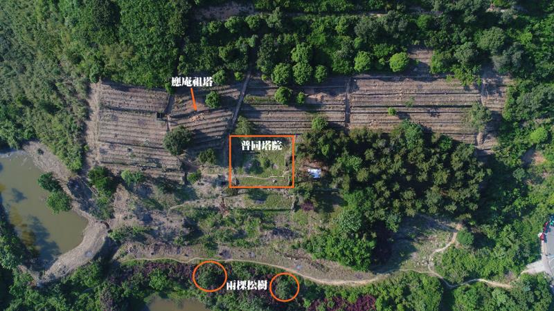 揭开千年古刹“地下迷宫”的神秘面纱——独家解读天童禅寺唐岙左陇塔院考古调查