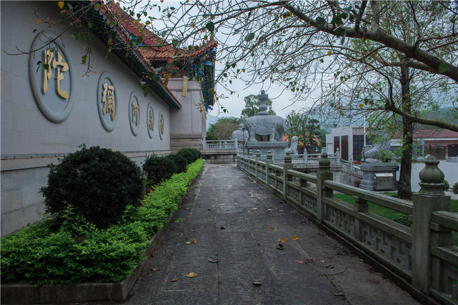 绿色清明 文明祭扫——珠海普陀寺网络祭扫倡议