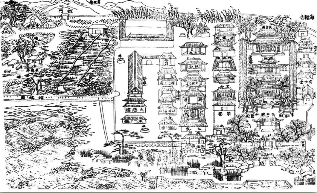 未有海幢寺，先有鹰爪兰