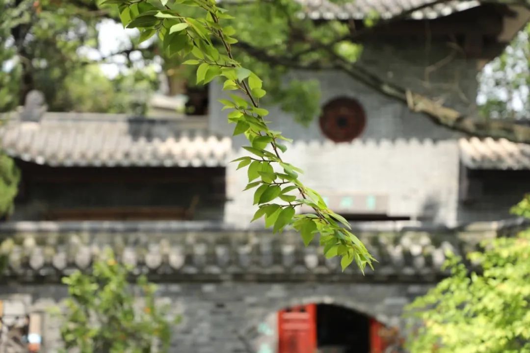 封城两个月 八位武昌佛学院尼僧倾情讲述自己的经历感受
