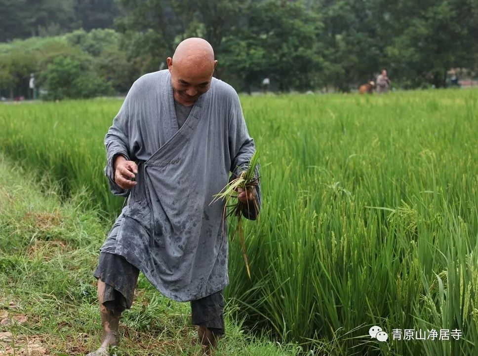青原山净居寺举行追思缅怀体光老和尚圆寂十五周年纪念系列活动