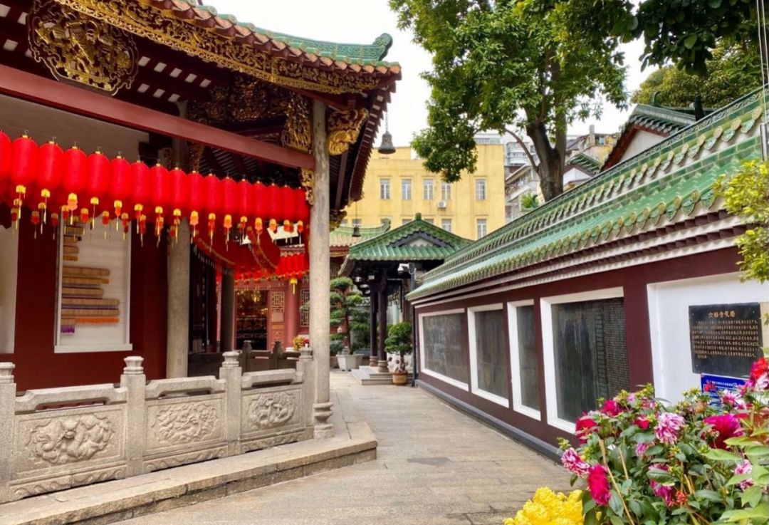 同心同德  防控疫情——广东省佛教界开展新冠肺炎疫情防控工作
