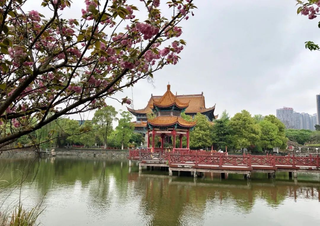 开福佳讯 | 开福寺将于3月30日重启山门