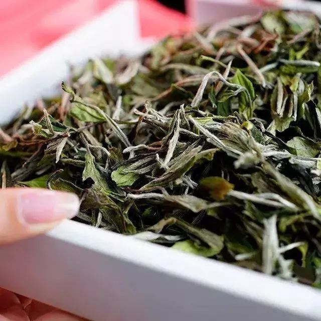 拷问白茶：get 这几招，能解决90%与白茶有关的问题！