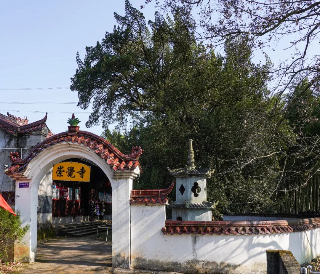 新闻|松阳县桐榔文化康养基地暨浙江松阳崇觉寺扩建项目奠基