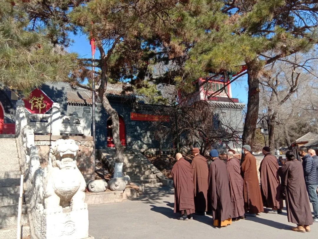 菩萨垂泪 春风含悲|吉林省全省佛教活动场所降半旗志哀