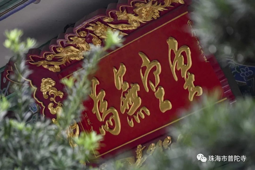 国际著名诗人、书画家李垚治先生参访珠海普陀寺 写下散文诗《书 僧》留住法喜