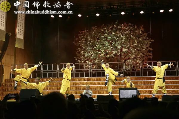 点亮心灯 祈愿和平 ——第二届中美加佛教论坛在美国纽约联合国总部举行