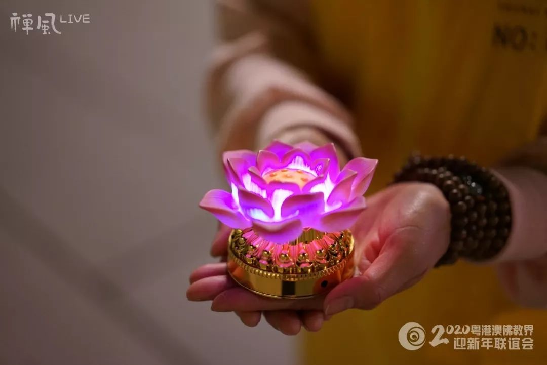 【跨年组图】同心同德迎新年!粤港澳三地佛教一家亲